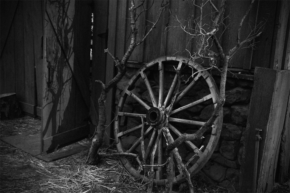 wagon wheel_Ricky Lewis Jr_copyright 2012